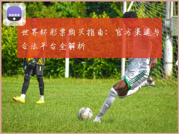 世界杯彩票购买指南：官方渠道与合法平台全解析