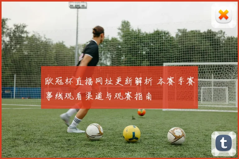 欧冠杯直播网址更新解析 本赛季赛事线观看渠道与观赛指南