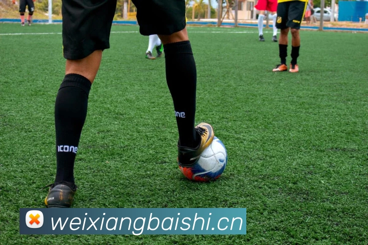 九游j9网页版入口平台生态图