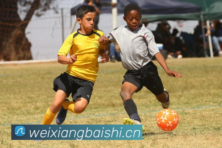 九游j9网页版入口APP 封面图